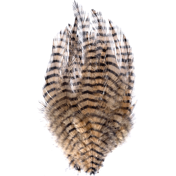 MFC Barred Saddle Hackle - All Colors