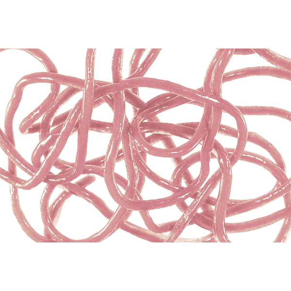 Trina's Squirm Material