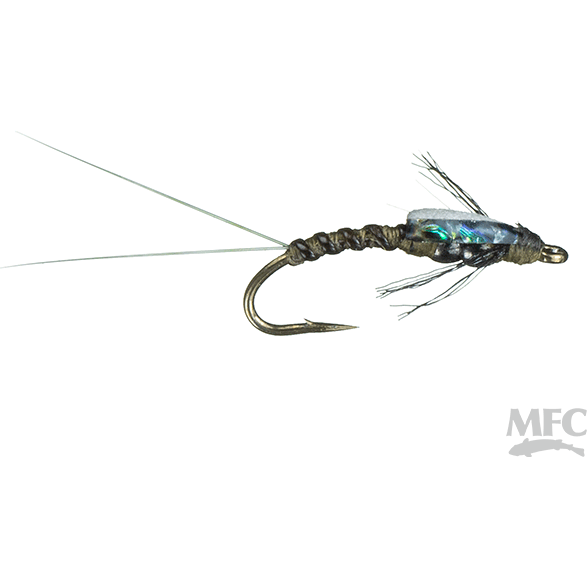 MFC - Juan's Tungsten Splitback Shady - BWO