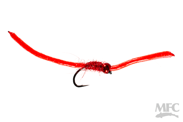 MFC - Trina's Worm