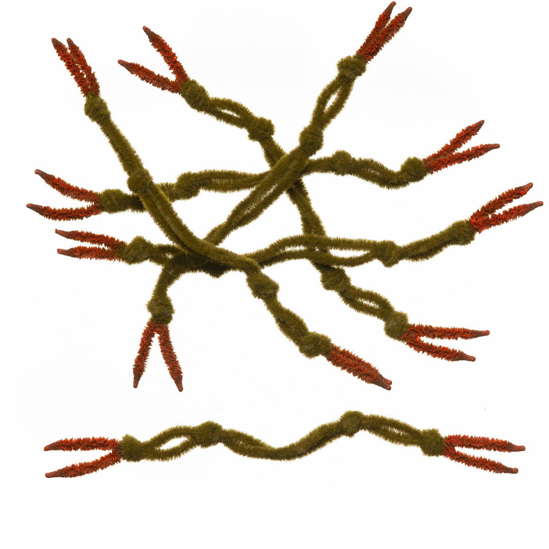 EP Crab Claw- Olive Brown