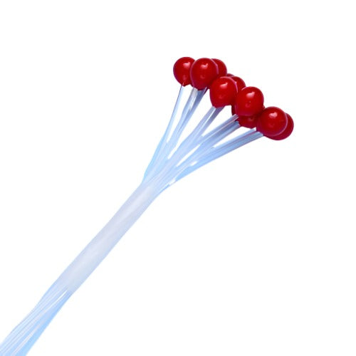 EP Crab & Shrimp Eyes - Extra Small