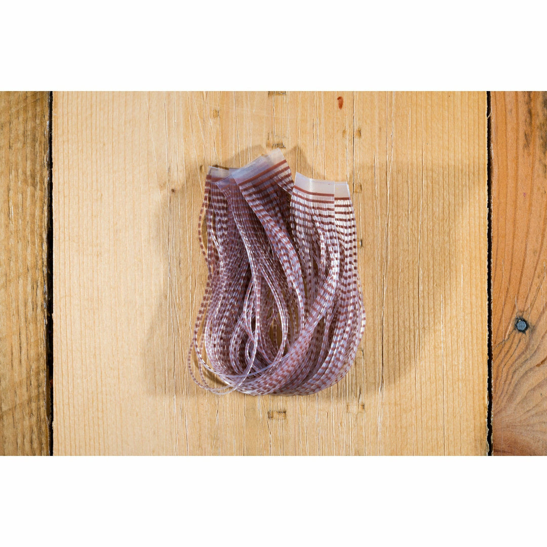 Chicone's Crusher Legs (Regular) - Brown Barred Clear