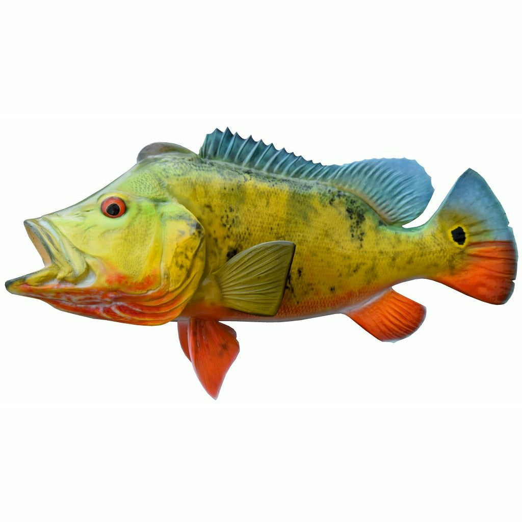 Peacock Bass Mount
