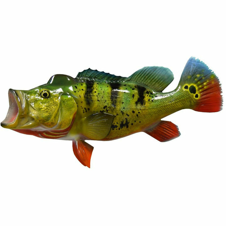Peacock Bass Mount