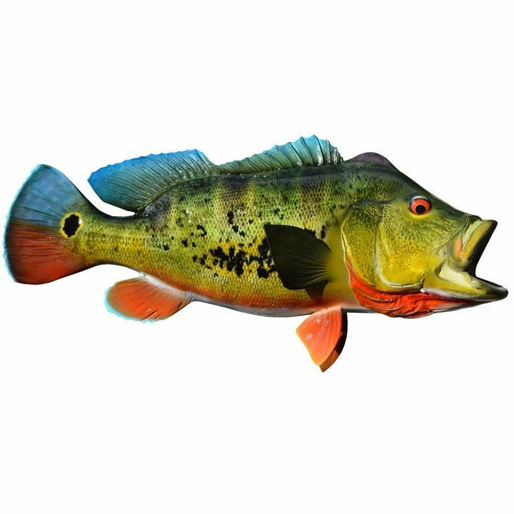 Peacock Bass Mount