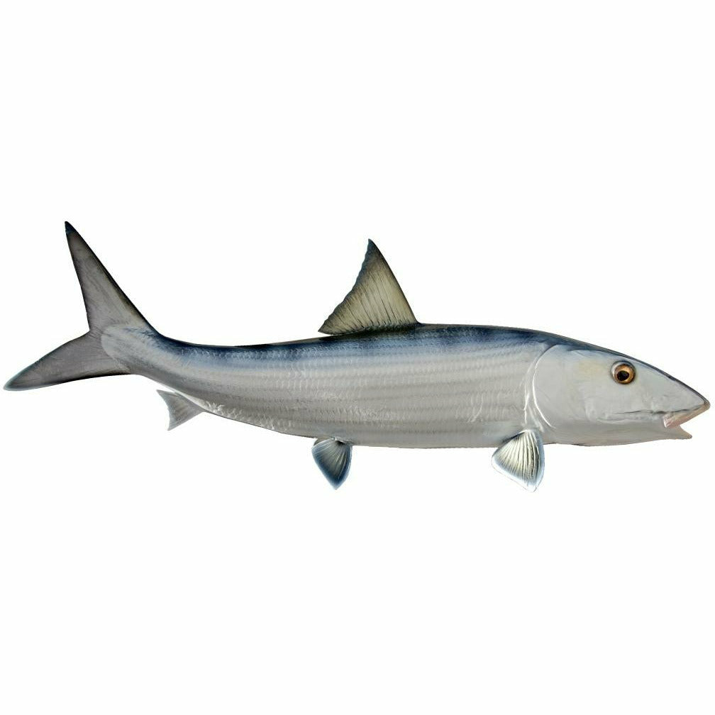 Bonefish Mount