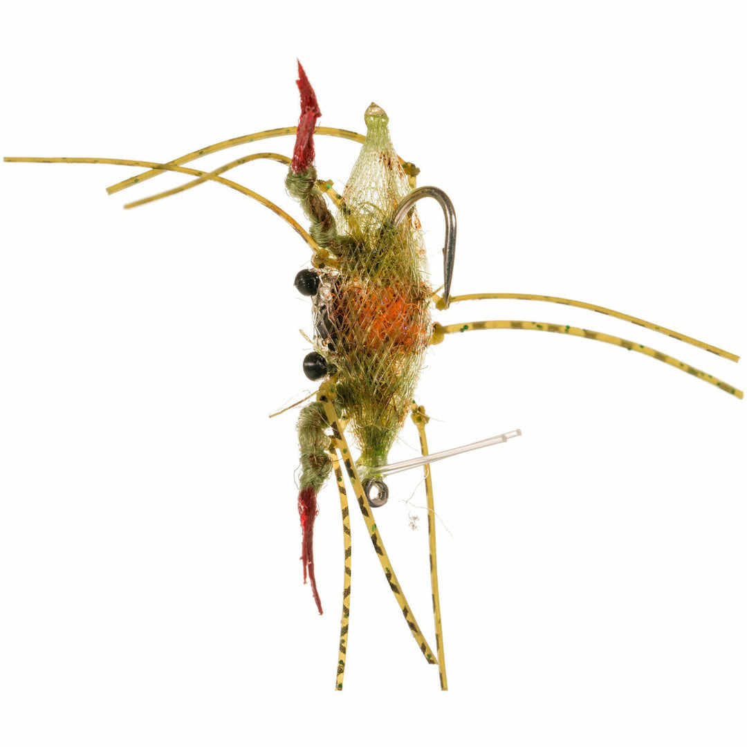 Enrico Puglisi Soft Shell - Grass