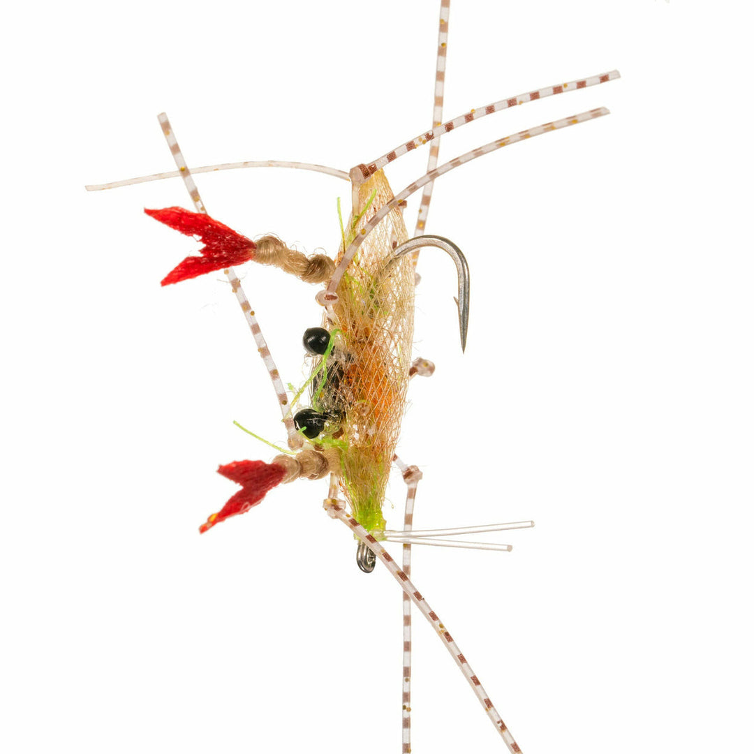 Enrico Puglisi Soft Shell - Sand Orange Egg