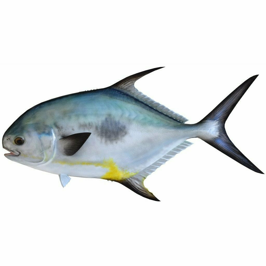 Permit Mount