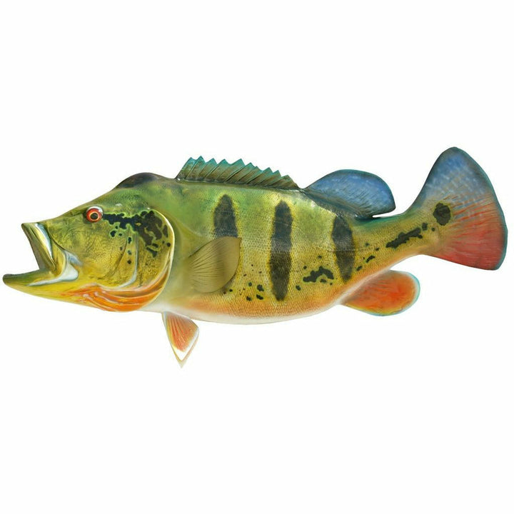 Peacock Bass Mount