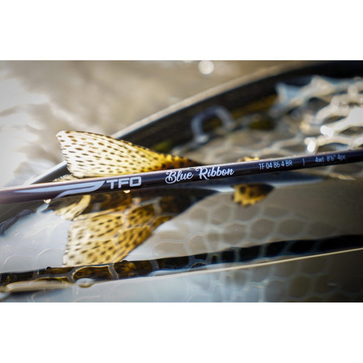 TFO - Blue Ribbon
