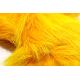 Deer Belly Sunburst Yellow
