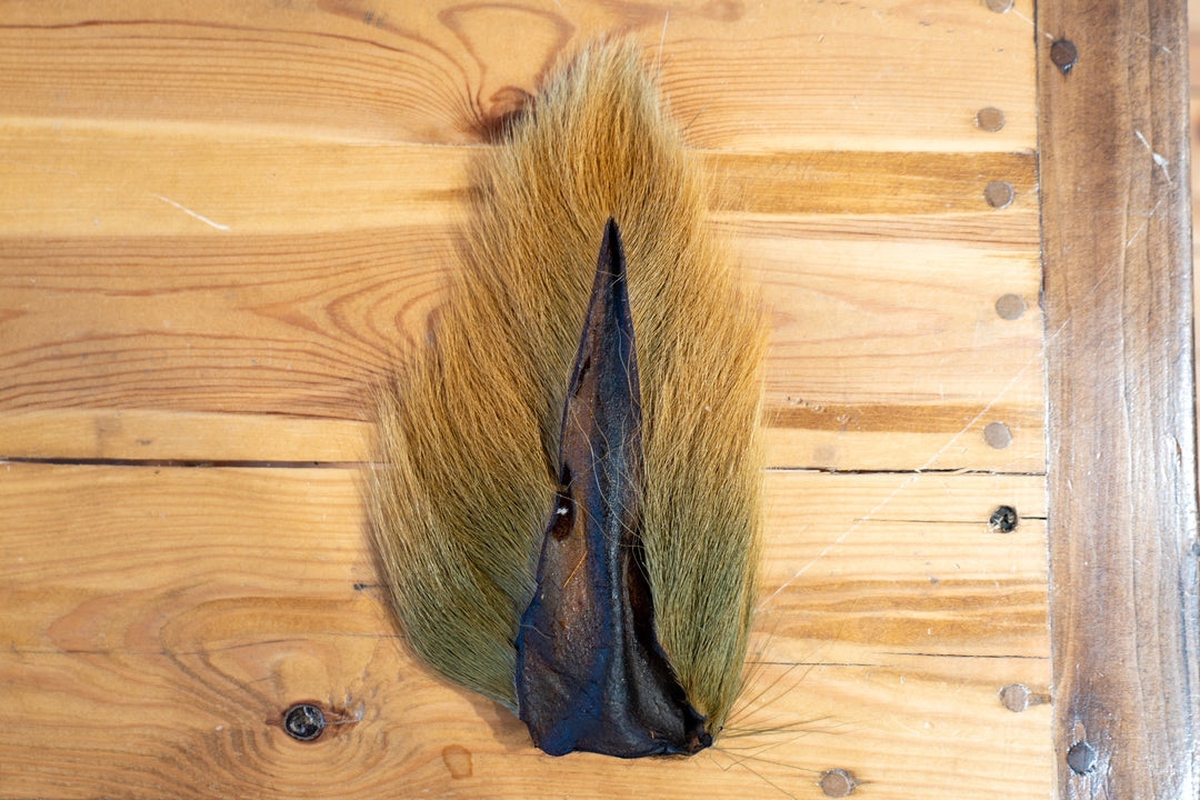 Prime Deer Tails