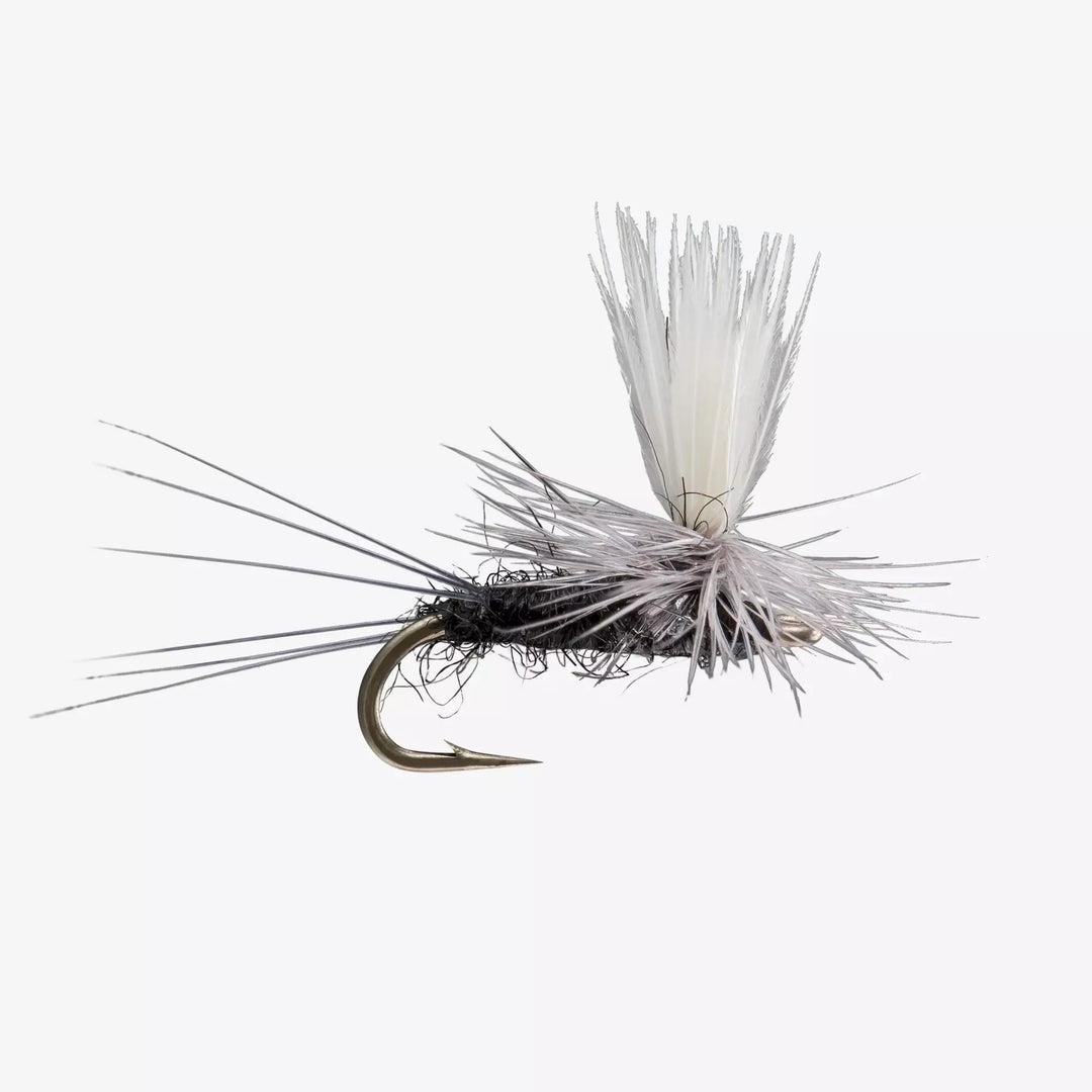 Rio - Parachute : Black