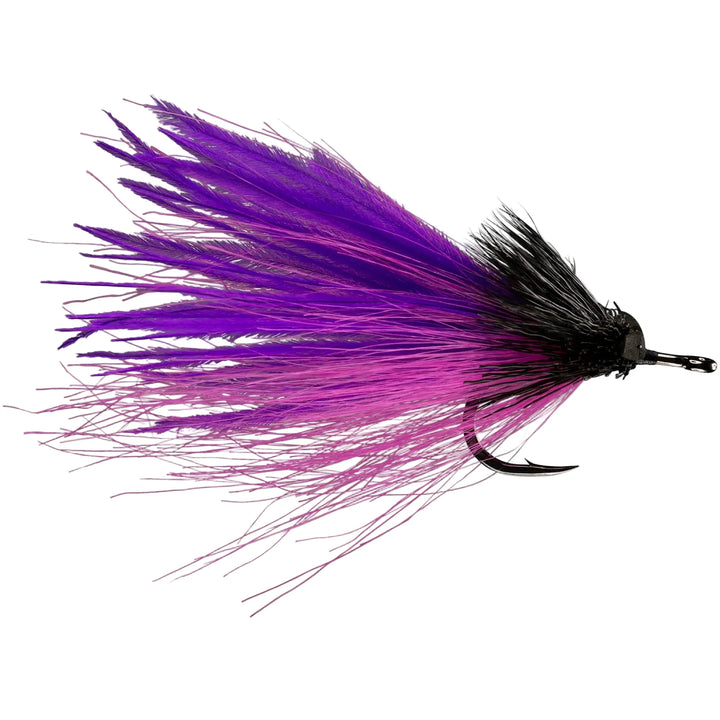 Rio's Dread Pirate - All Colors