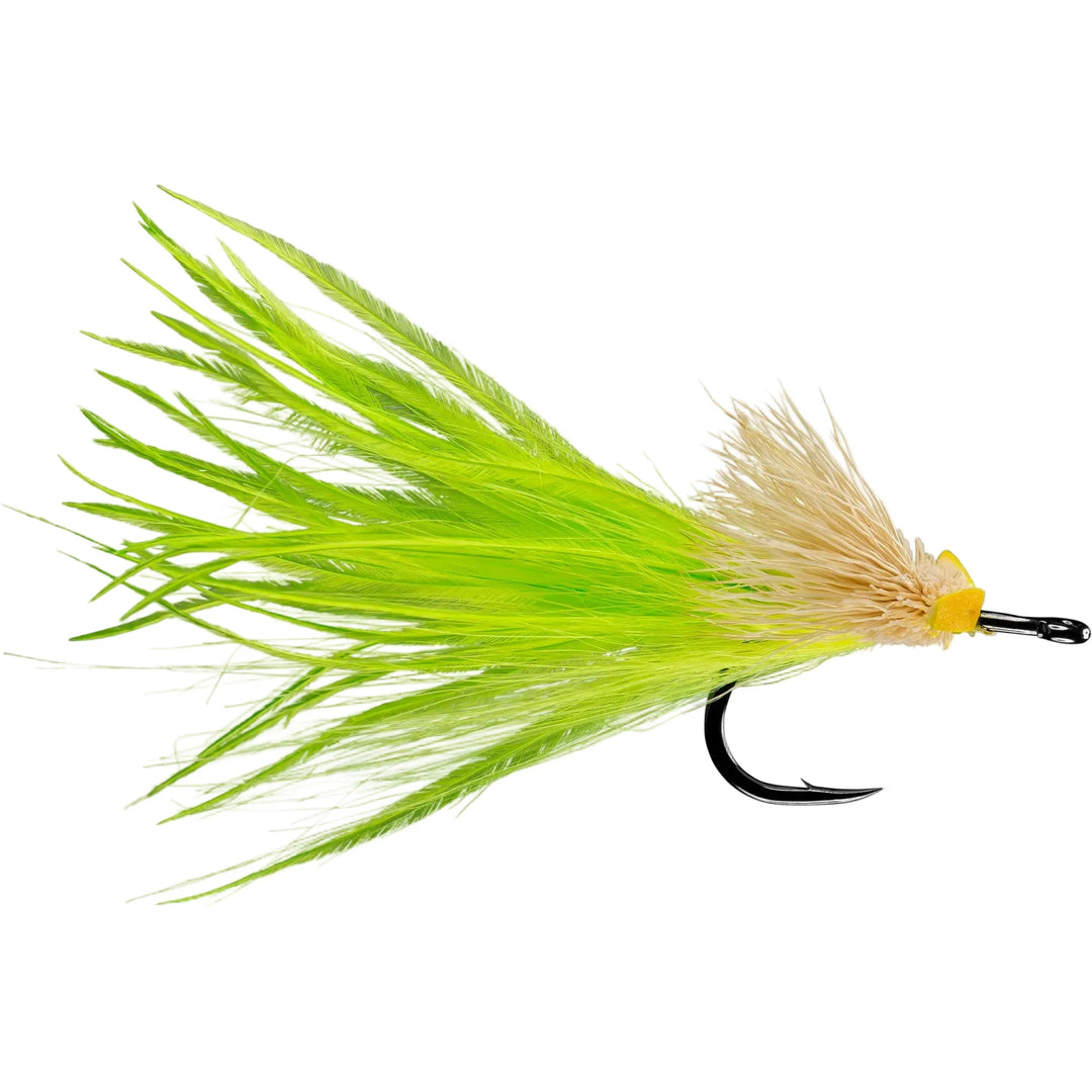 Rio's Dread Pirate - All Colors