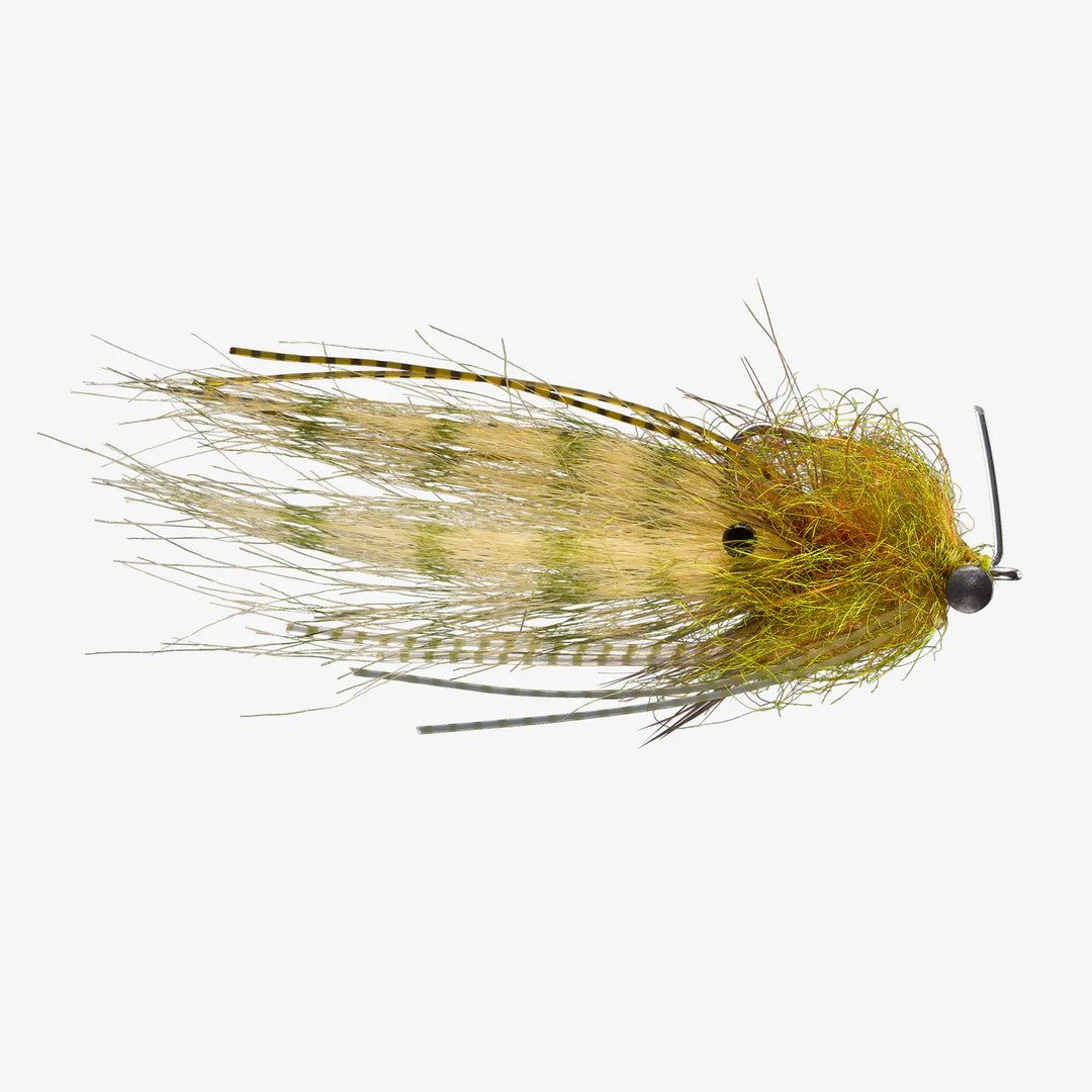 Rio's Shrimp Tease Light 2