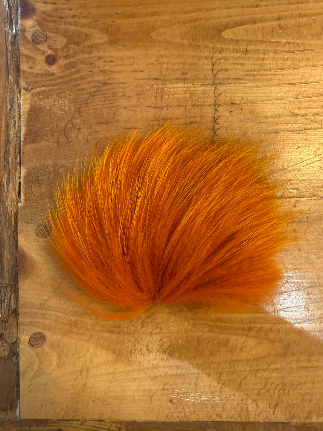 Finn Raccoon - All Colors