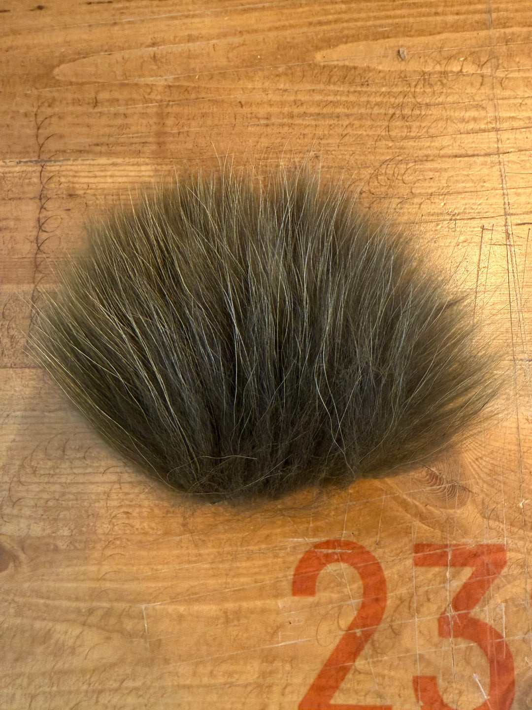 Finn Raccoon - All Colors