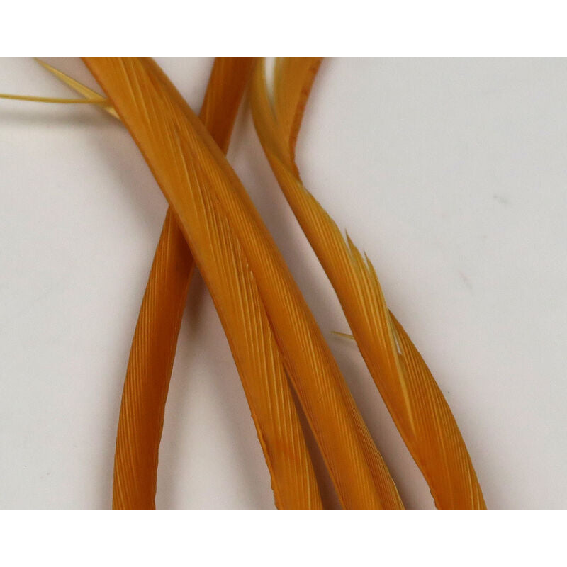 Stripped Goose Biots - All Colors