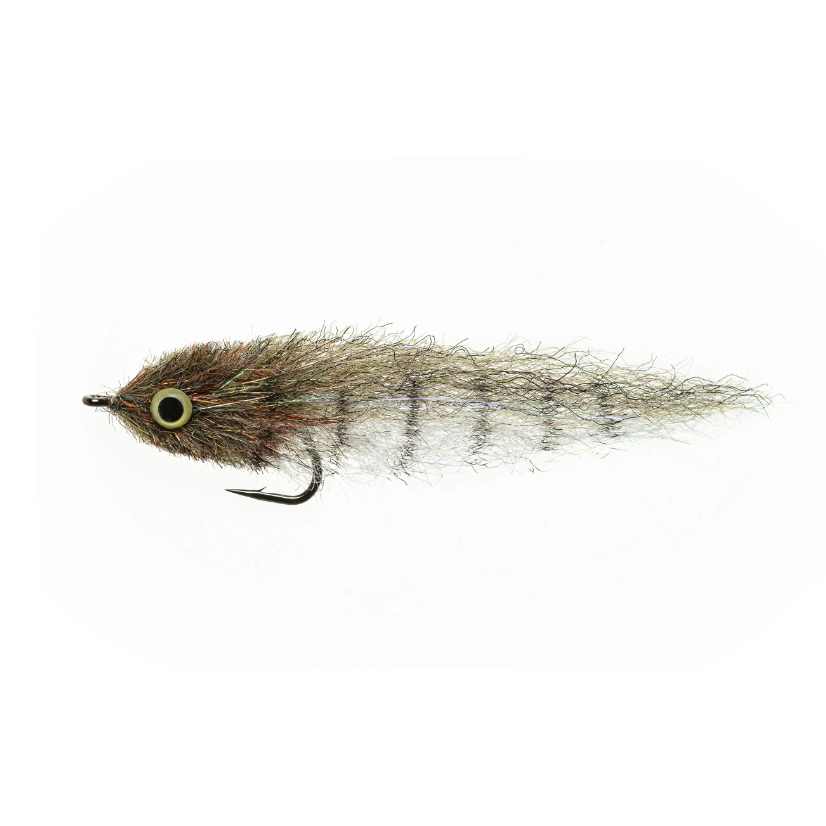 LITTLE MINNOW SHADED - Olive #4