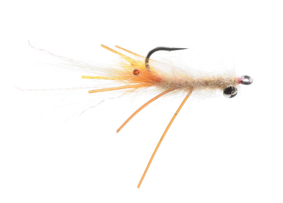 Veverka's Spawning Mantis Shrimp