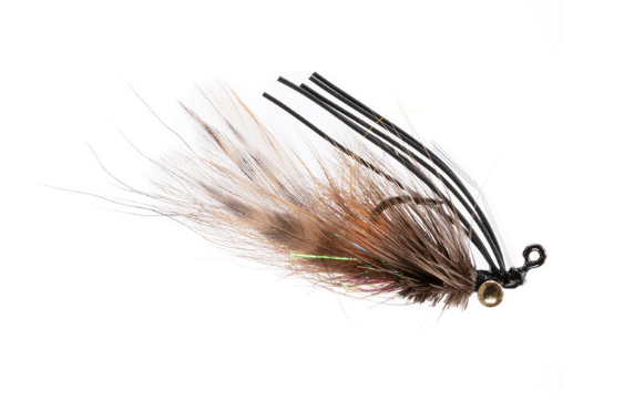 Janik's Dirty Bird Crab