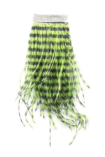 MFC - Strung Barred Ostrich