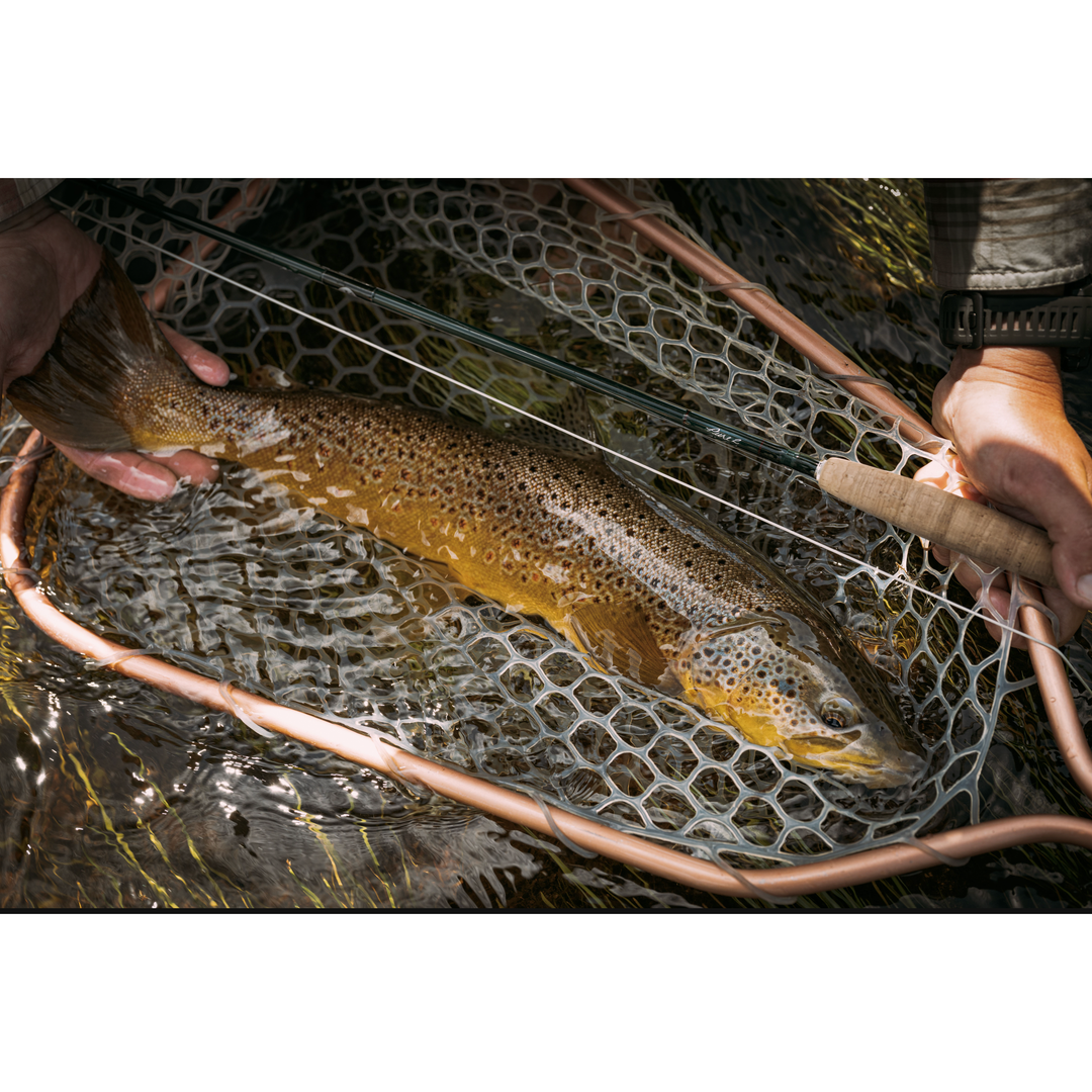 R.L. Winston - Pure 2 (New)