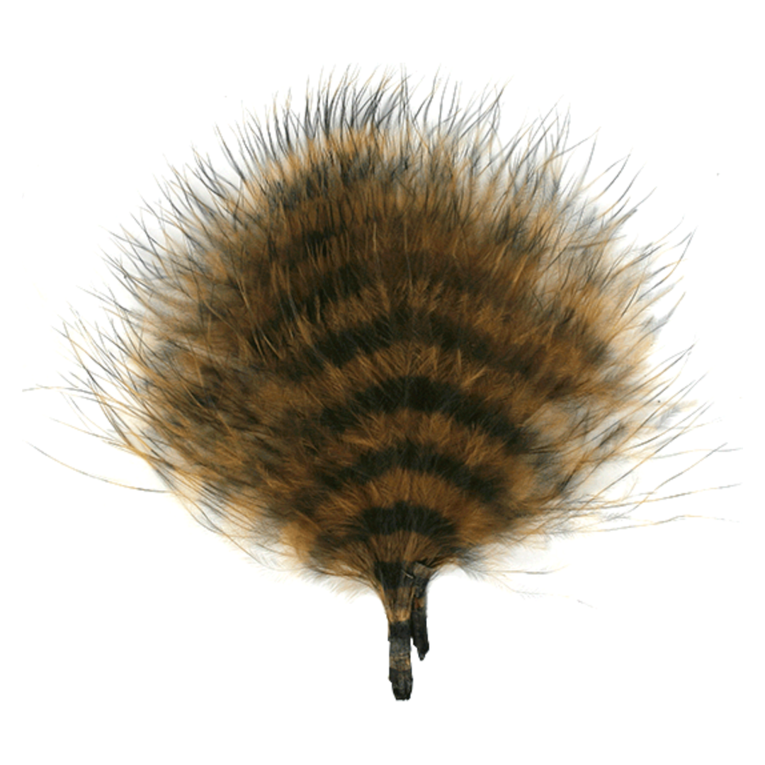 MFC Barred Marabou