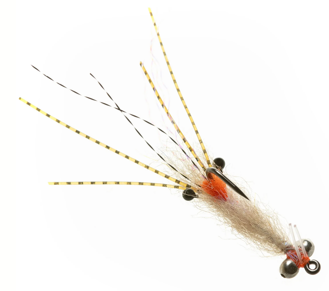 Enrico Puglisi Spawning Shrimp - Tan