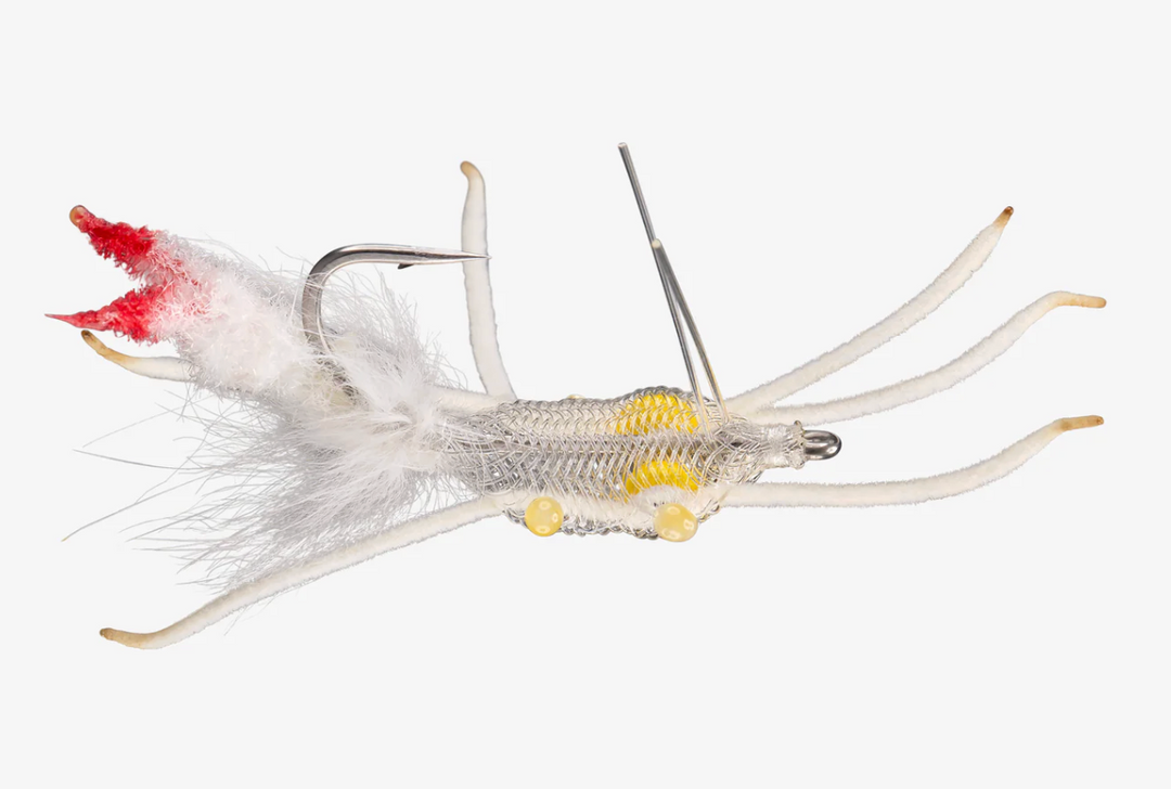 Rio Fiddler on the Reef - White