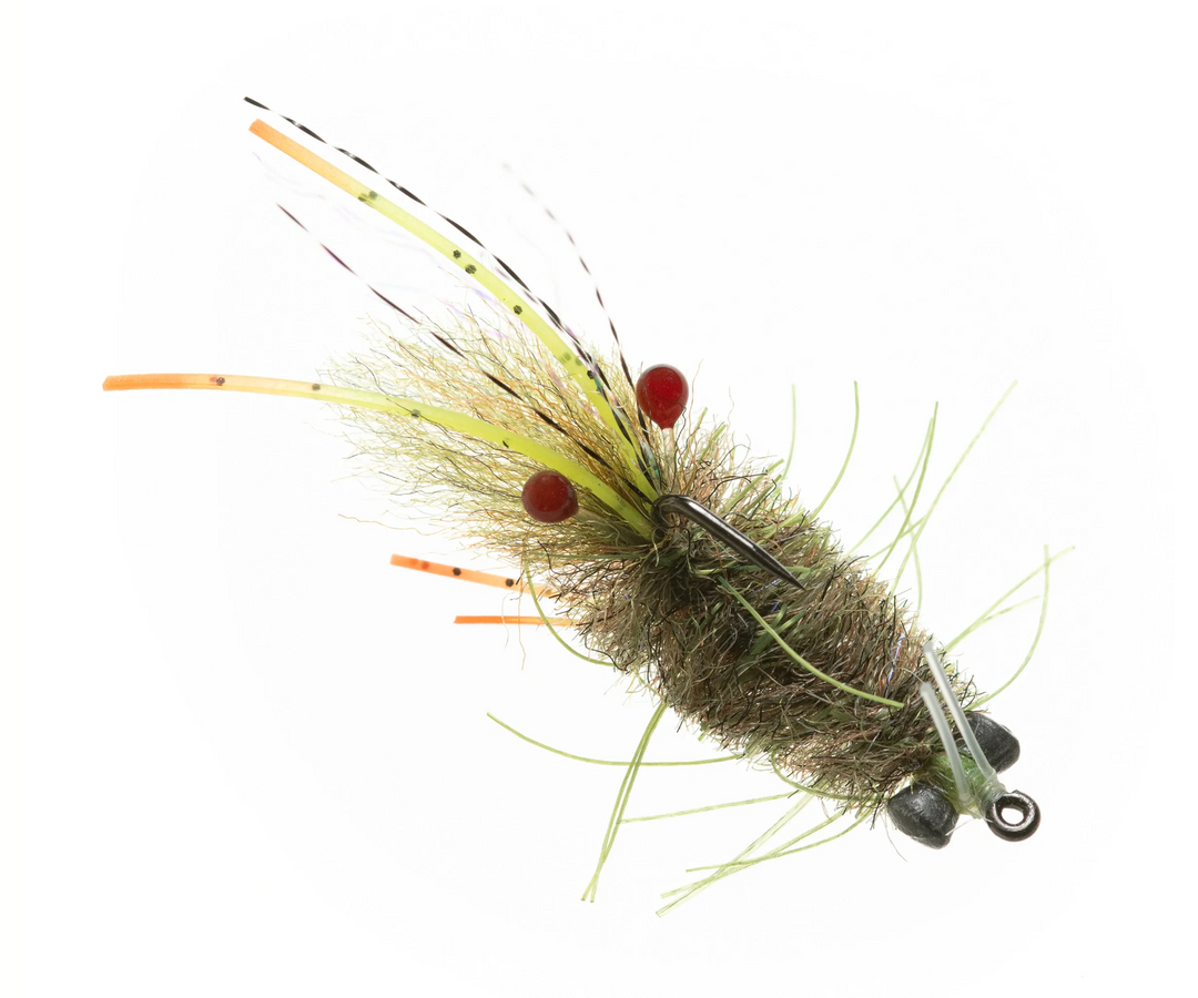 Enrico Puglisi Mantis Shrimp - Olive #6