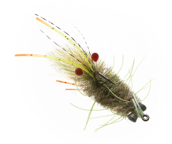 Enrico Puglisi Mantis Shrimp - Olive #6
