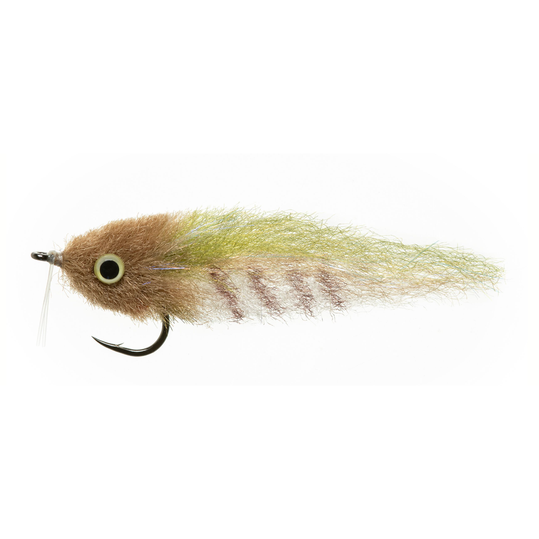 Enrico Puglisi - Everglades Special