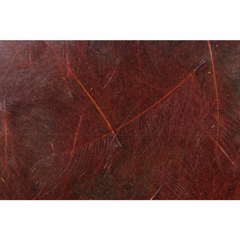 Cul De Canard - All Colors