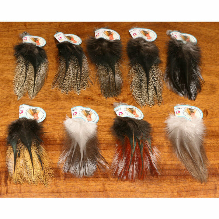 Coq De Leon Feathers