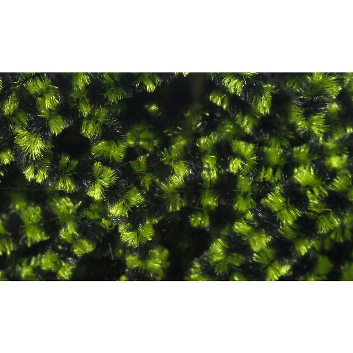 Stonefly Chenille - Small