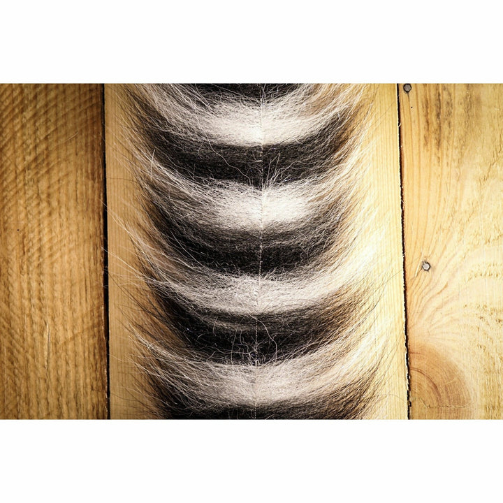 EP Sommerlatte's Grizzley Foxy Brush  - Black & White