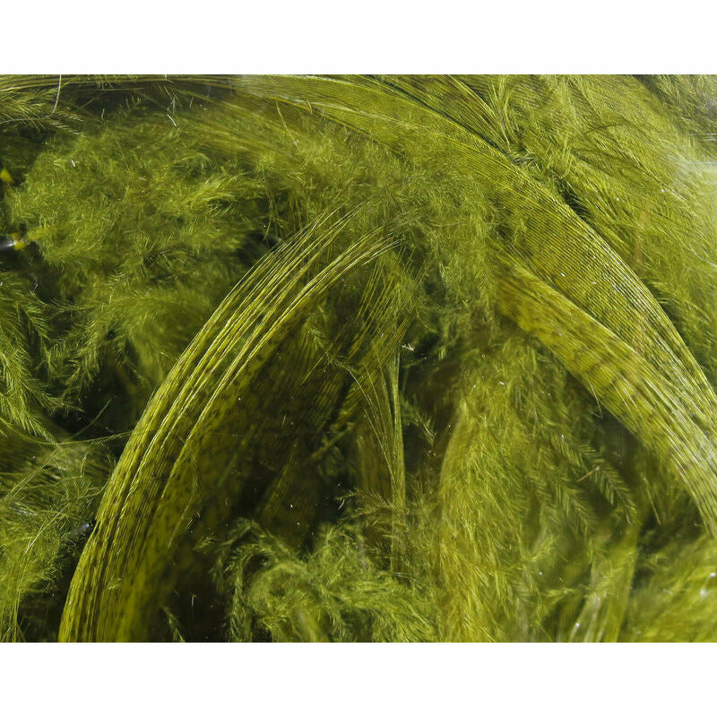 Mallard Flank Feathers