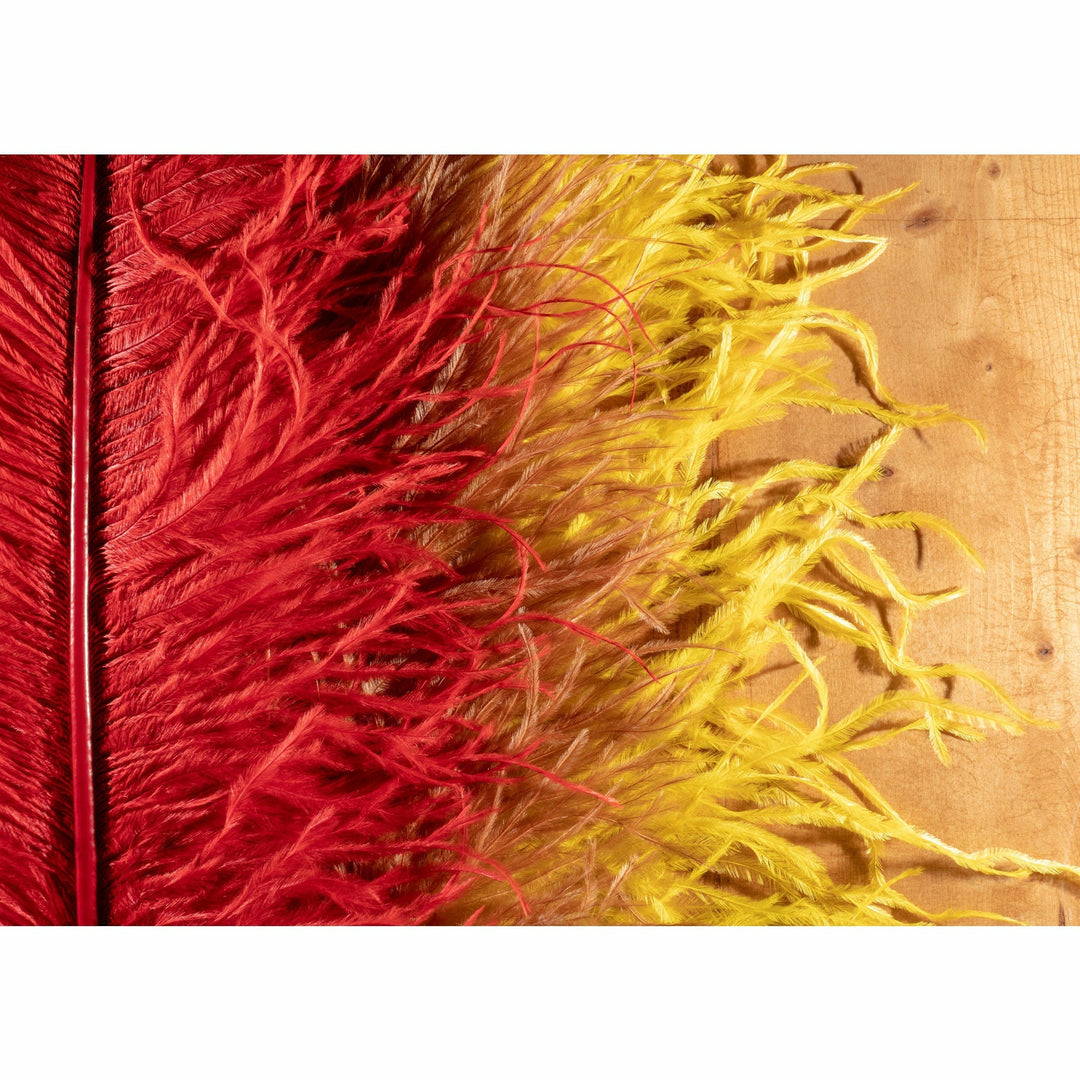Ostrich Plume - All Colors
