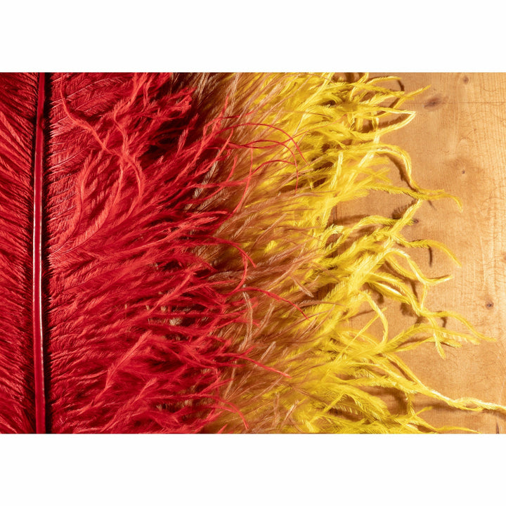 Ostrich Plume - All Colors