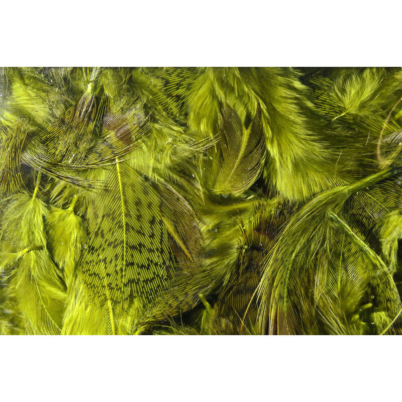 Hungarian Partridge Feathers - All Colors