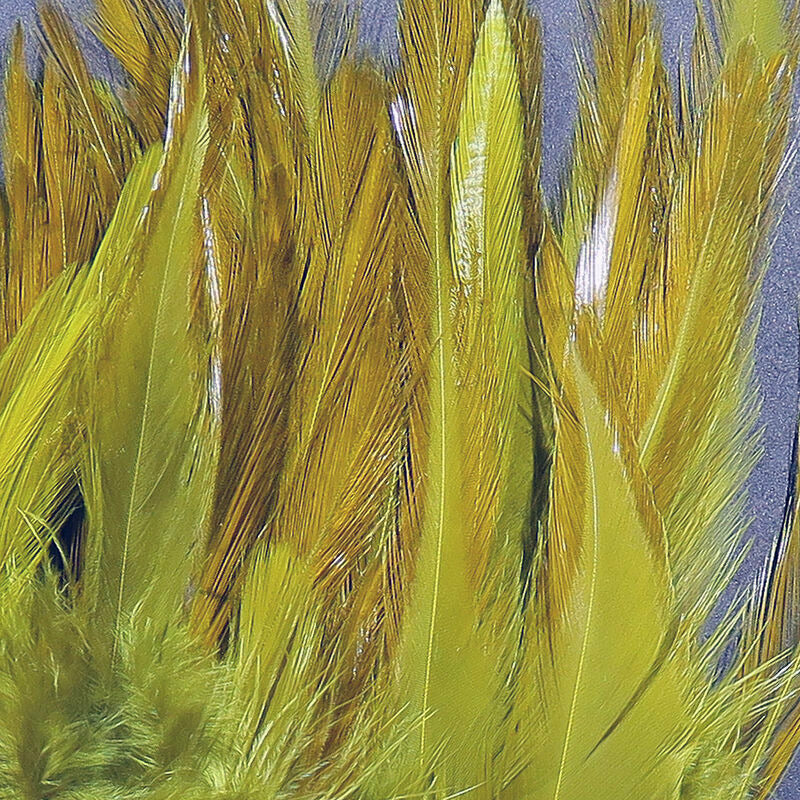 Strung Saddle Hackle  - All Colors