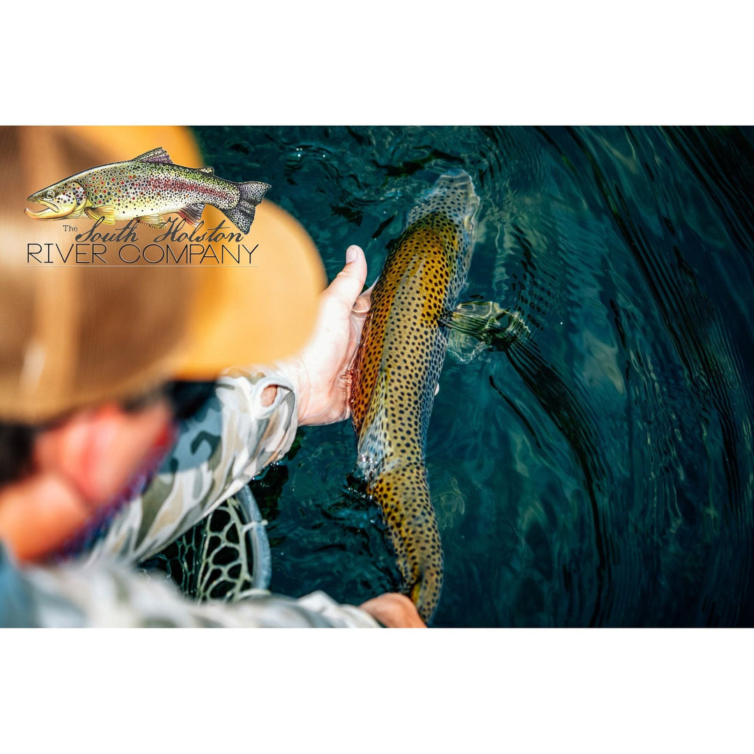 828 X SOHO Guided Trip