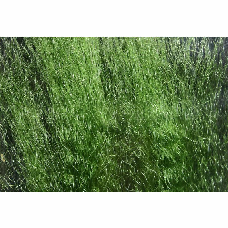 UV2 Super Hair - All Colors